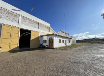 Bodega-Galpón · Venta - Galpón en El Parque Industrial de General Roca - A014