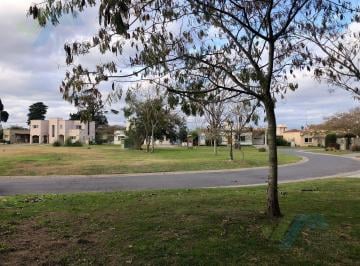 Terreno · 971m² · Lote Interno Sector Consolidado - San Matias Area 3