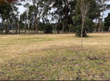 Terreno · 639m² · Terreno Rumenco Joven