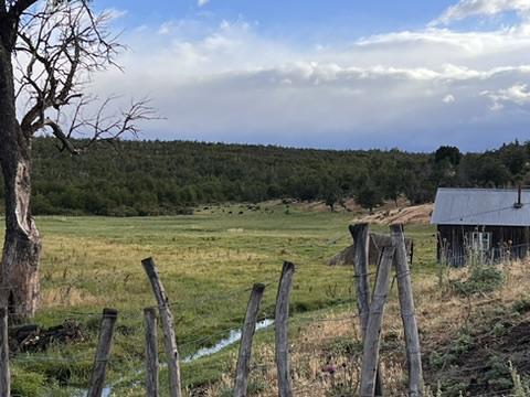Trevelin - Ruta Provincial 17, Trevelín, Chubut