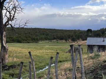 Campo · Campo en Trevelin - Chubut