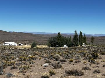 Campo · 150000000ha · 4 Ambientes · Campo - Colanconhue
