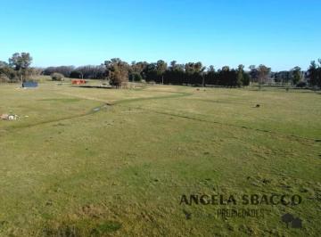 Terreno · 21000m² · Hermoso Terreno!.