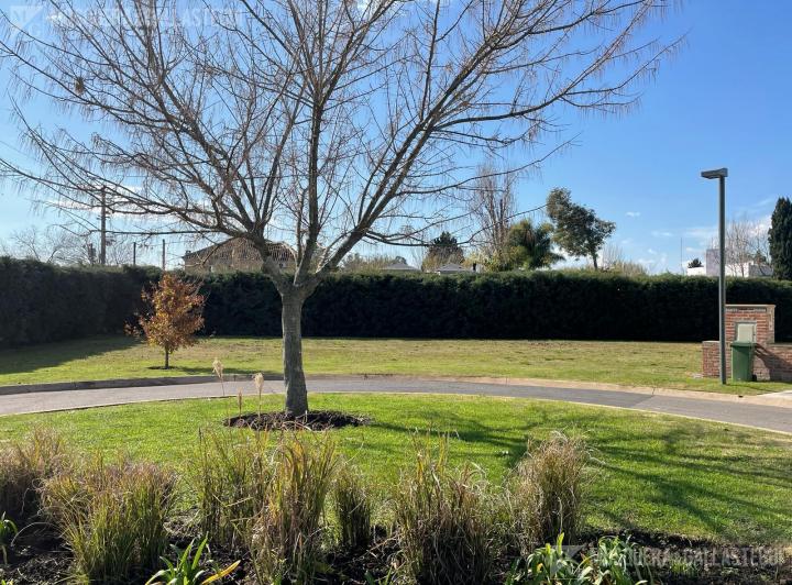 Terreno · 1000m²