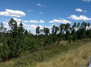 Terreno 19624m² Venta · Venta de Fraccion de 1 Ha 9624 m² en Villa Berna - Tlc0851