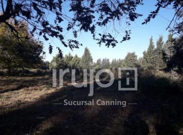 Terreno · 2135m² · Excelente Loteo de Terrenos en San Vicente - Camino Once Bocas y Calle Matheu