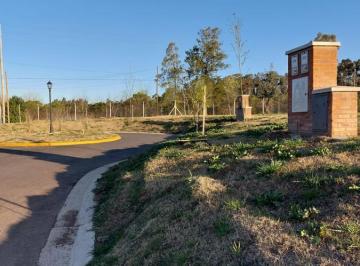 Terreno · 510m² · Terreno en Pilar del Este Barrio Santa Elisa