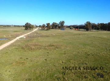 Campo · 21000m² · 1 Ambiente · Excelente Campito, en Exaltación de La Cruz.