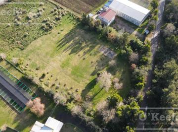Terreno , La Plata · Terreno en Abasto de 11900 m² con Fácil Acceso, Oportunidad Unica!