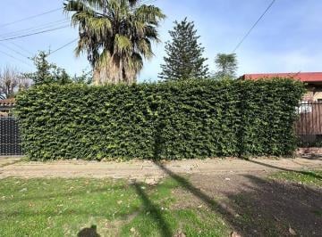 Terreno · 160m² · Venta de Lote Baldio en La Mejor Zona de Padua