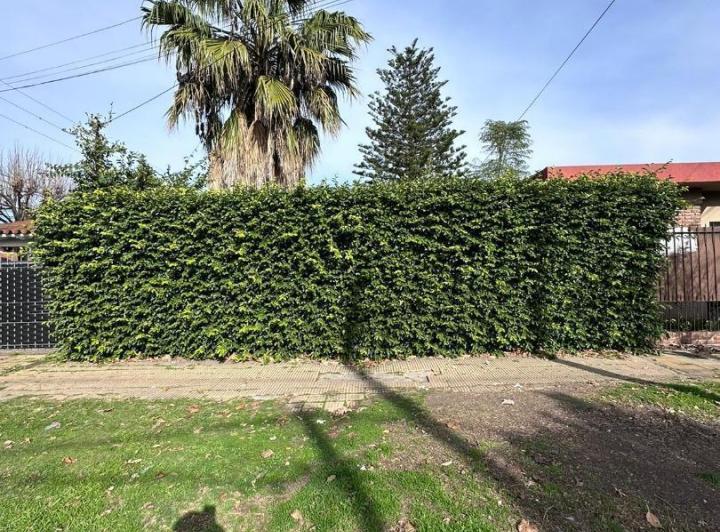 Terreno · 160m²