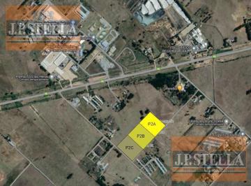 Terreno · 60017m² · 3 Fracciones de Campo de 2 Ha Cada Una - Juntas o por Separado - General Las Heras