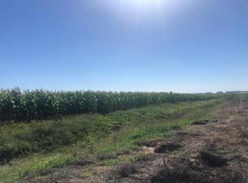 Campo · 1100000ha · Campo en General Alvear