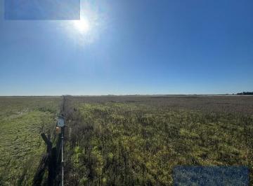 Campo · 92ha · Campo en Saladillo
