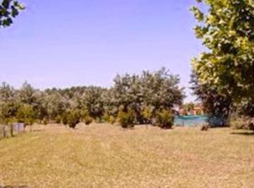 Terreno · 1113m² · 1 Ambiente · Daniela Esteche. Realty & Home. Lote en Ayres de Pilar.