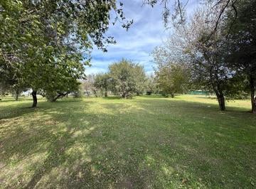 Terreno , Malagueño · Terreno Venta La Arbolada