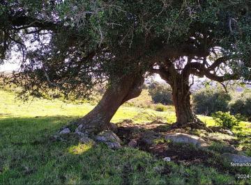 Quinta vacacional · 20m² · 1 Ambiente · Oportunidad: Chacra 20 Ha Venta en Las Sierras de Garzón