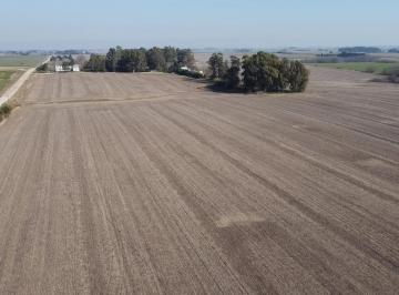 Campo · 500000m² · Campo en Real de San Carlos