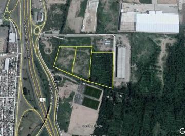Terreno · 24519m² · Terreno - Sarandi