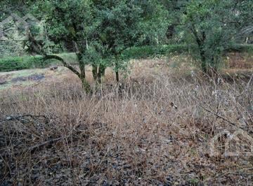 Terreno , Neuquén · Lote Venta en Barrio Privado Los Rododendros