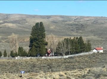 Campo · 130000000ha · Campo - Tecka