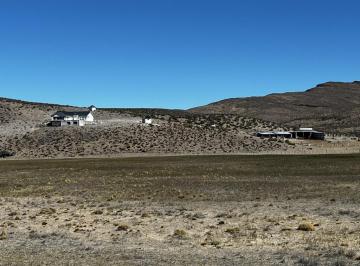 Campo · Campo en Esquel