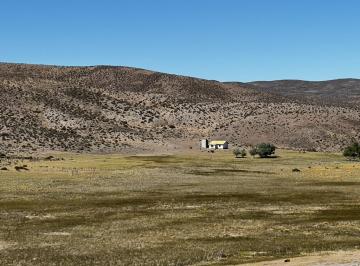 Campo · 150000000ha · Campo en Esquel
