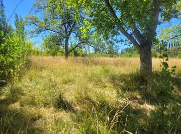 Campo · 25000m² · Chacra en Cervantes