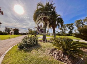 C21-043-91471_2 · Lote. | Ruta 58 Al 100