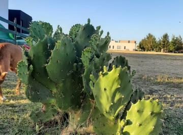 Terreno , Escobar · Escobar. hermoso Lote Interno en Barrio El Naudir. 804 m