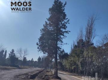 Terreno · 301m² · Terrenos en Barrio San Jeronimo - Matheu - Cristian Moswalder Negocios Inmobiliarios