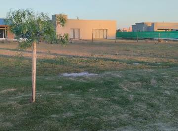 Terreno · 670m² · Terreno Venta en Barrio Privado El Ensueño Maschwitz