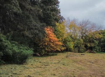 Terreno · 331m² · Terreno a La Venta en Yei Pora Loteo La Esmeralda