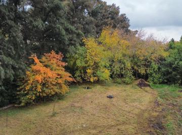Terreno · 462m² · Terreno a La Venta en Yei Pora Loteo Abierto La Esmeralda