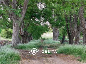 Terreno · 807m² · Lote en Venta en Estancia Carabassa, Pilar, Al Verde