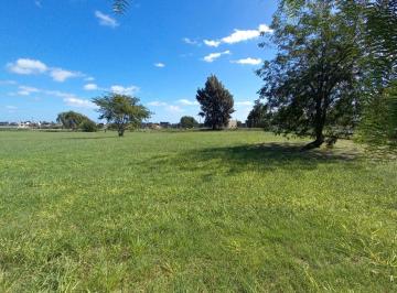 Terreno · 937m² · Lote en Venta en San Sebastian, Area 2, Fondo Al Verde