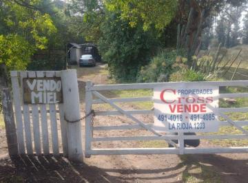 CRP-CRP-2505_2 · Quinta. | Tomás Yemehuech