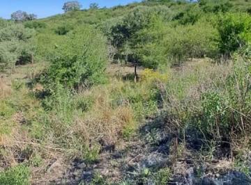 Foto · Terrenop en Venta Ascochinga La Pampa Cordoba