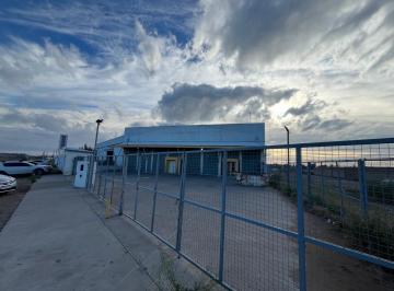 Depósito , Bahía Blanca · Deposito en Alquiler Sobre Ruta 3 Sur Km 695