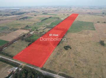 Campo · 616433m² · Terreno en Venta o Permuta Ubicado en General Rodríguez, General Rodríguez