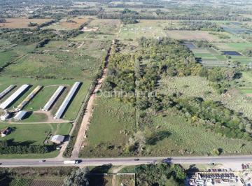 Campo · 196888m² · Terreno Campo en Venta en Pilar, G. B. a. Zona Norte