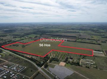 Campo · 562815m² · Campo en Venta en Exaltación de La Cruz