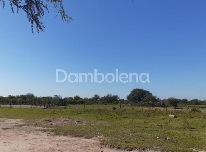 Campo · 1100m²