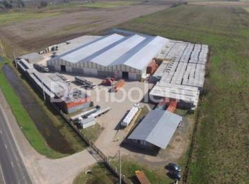 Bodega-Galpón · 7500m² · Depósito Galpón en Venta Ubicado en Alvear, Rosario