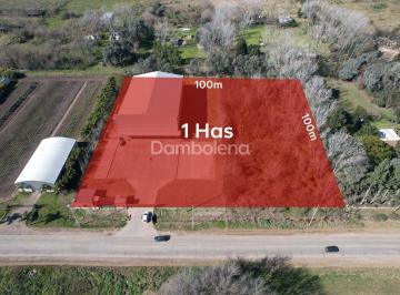 Terreno · 10000m² · Depósito Galpón en Venta Ubicado en General Rodríguez, G. B. a. Zona Oeste