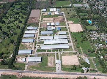 Bodega-Galpón · 4800m² · Depósito Galpón en Alquiler Ubicado en Cuartel V, Moreno, G. B. a. Zona Oeste