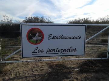 Campo , San Rafael · Venta Campo Ganadero 5522 Ha, San Rafael, Mendoza