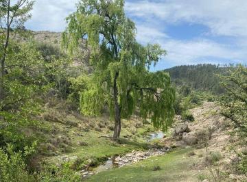 Terreno , La Cumbrecita · Venta de Fracción de 7 Has en La Cumbrecita - Tlc0874