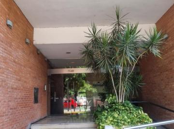 Departamento · 41m² · 2 Ambientes · Alq Depto 2 Amb. Totalm. Amueblado Lumin Excel S/ Libertador