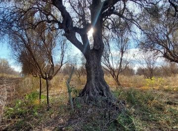Terreno , Maipú · Vendo Terreno en Maipú
